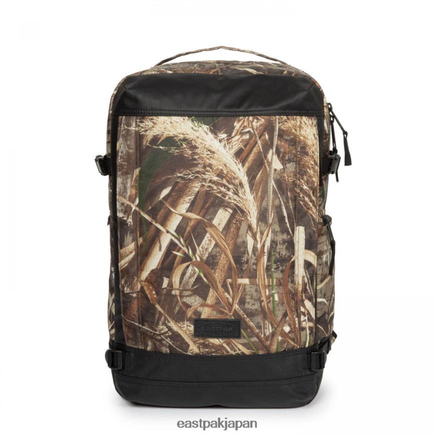 eastpak_jprzl18_e38390e38383e382afe38391e38383e382af_e38386e382abe383a0m_e383aae382a2e383abe38384e383aae383bce8bfb7e5bda9e69f8.jpg Eastpak JPRZL18 バックパック テカムm リアルツリー迷彩柄 - 画像 (1)