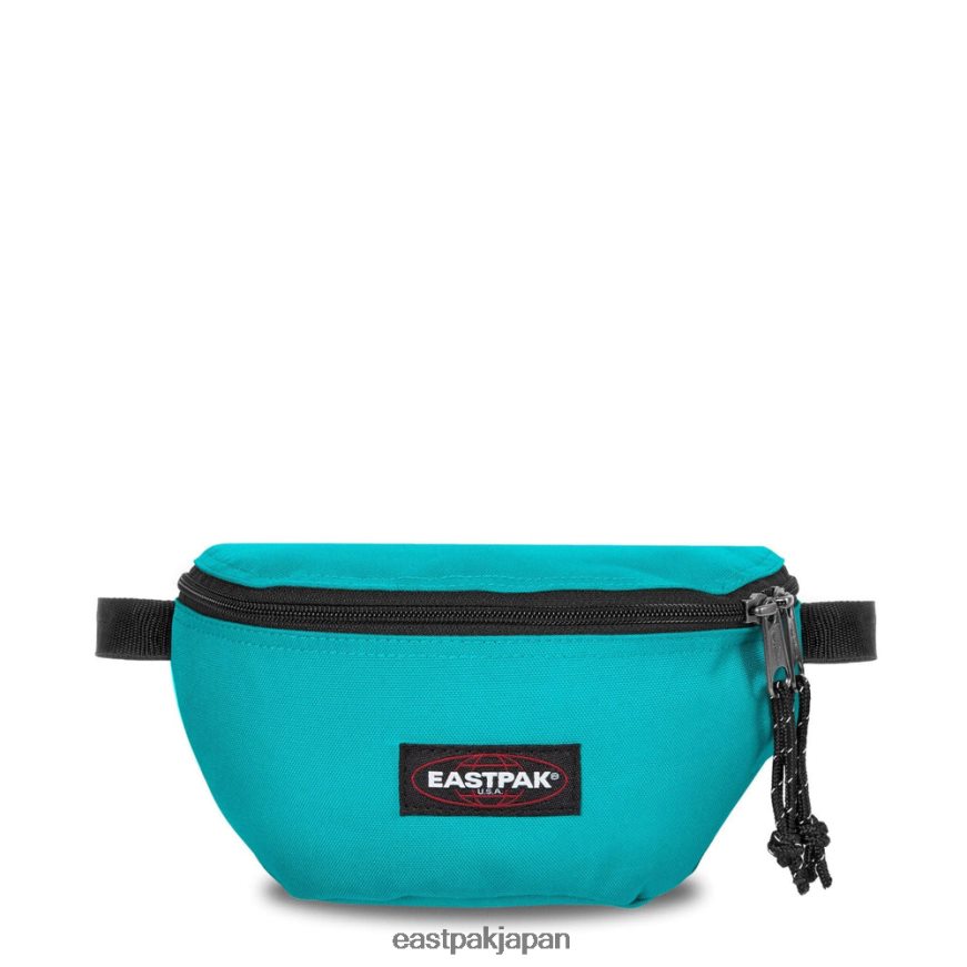 eastpak_jprzl308_e38390e38383e382b0_e382b9e38397e383aae383b3e382ace383bc_e58c97e6a5b5e382a2e382afe382a2.jpg Eastpak JPRZL308 バッグ スプリンガー 北極アクア - 画像 (1)