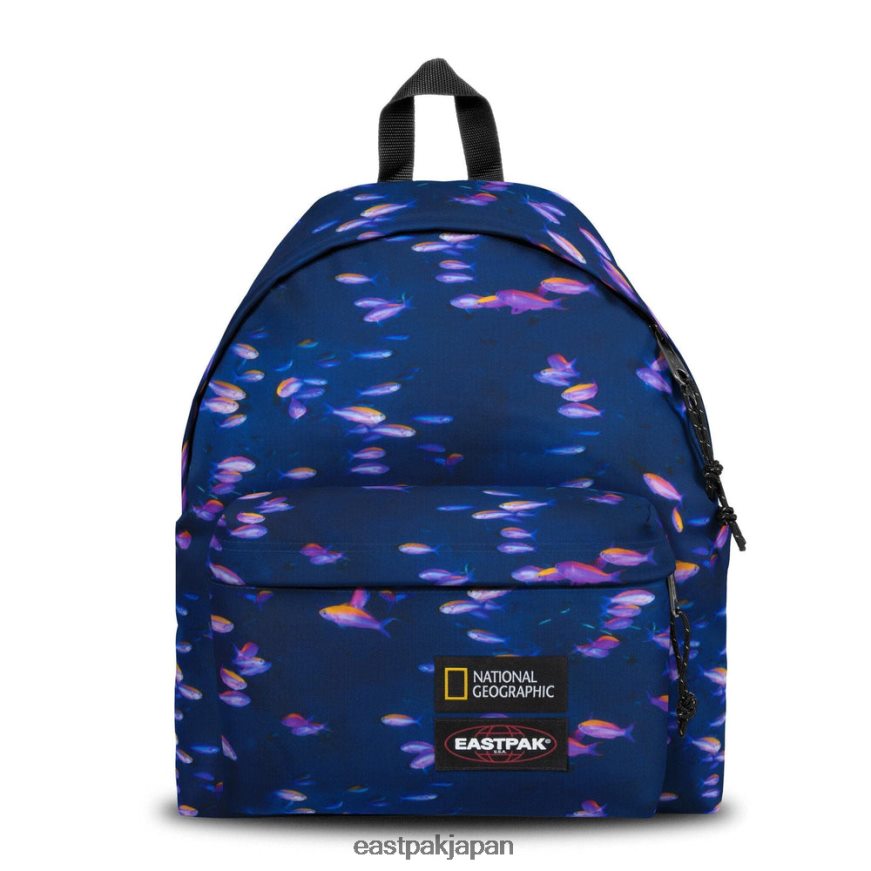 eastpak_jprzl8_e38390e38383e382afe38391e38383e382af_e38391e38383e38389e585a5e3828ae38391e38383e382afe383ab_e9ad9ae381afe9a784.jpg Eastpak JPRZL8 バックパック パッド入りパックル 魚は駄目だ - 画像 (1)